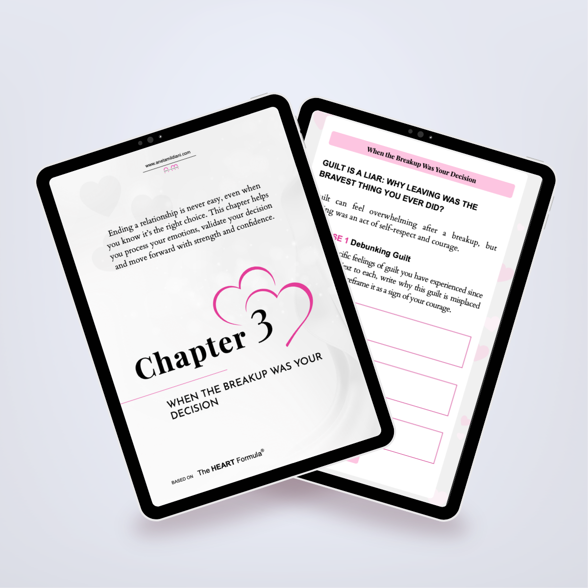 Pages from inside the workbook shown in a tablet mockup, providing emotional healing techniques. Title: 'Rise from the Ashes'. Author: Aneta Mildiani. Your roadmap to turning heartbreak into personal power and future love success.