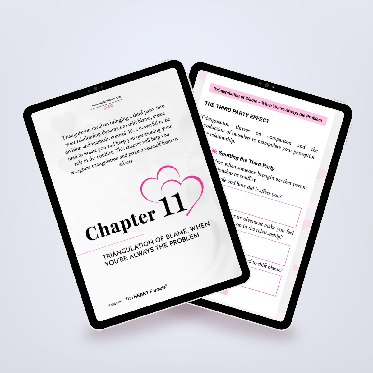 Pages from inside the workbook workbook in a tablet mockup, detailing narcissistic tactics in relationships. Title: 'The Narcissist’s Toolbox Exposed'. Author: Aneta Mildiani. Essential reading for escaping unhealthy relationships and finding true love.