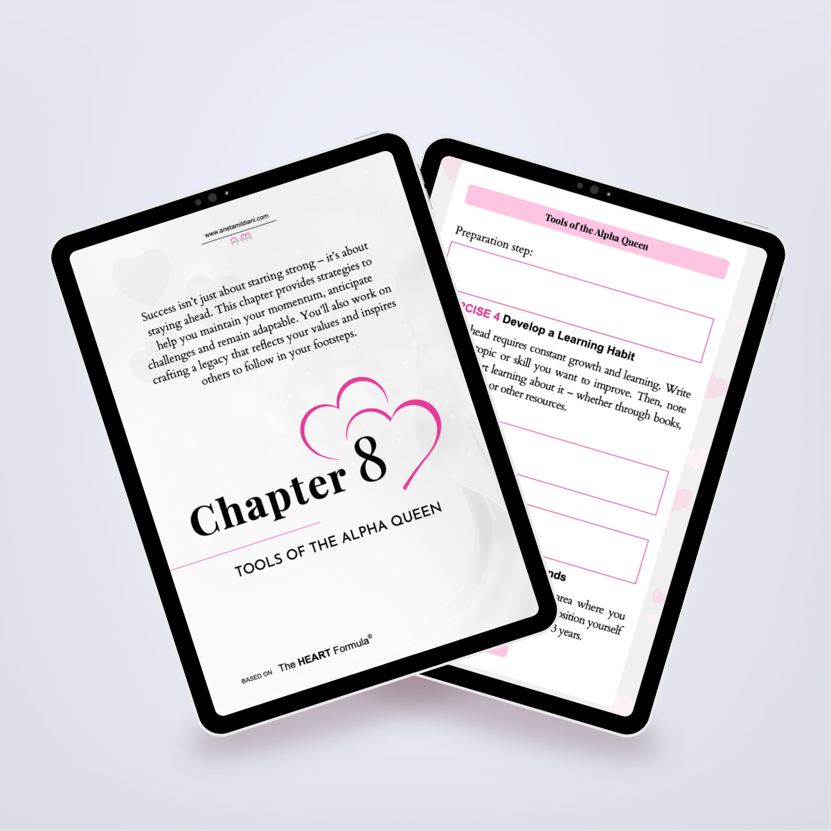 Additional internal pages of the workbook in a digital mockup, focused on traditional feminine strength. Author: Aneta Mildiani. Expert guidance on feminine allure and securing profound, committed love.