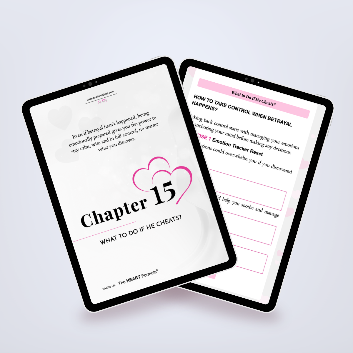 Additional internal pages of the workbook in a digital mockup, focused on preventing infidelity. Author: Aneta Mildiani. High-value relationship coaching for deep, committed love.